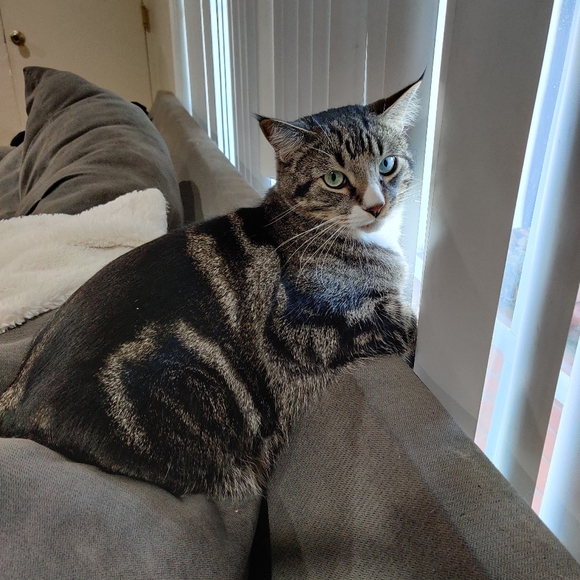 Meet your Posher, Maggie - Picture 12 of 16